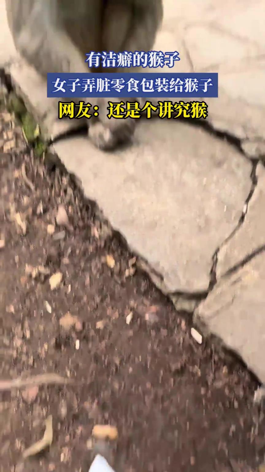 有洁癖的猴子，女子弄脏零食包装给猴子，网友：还是个讲究猴