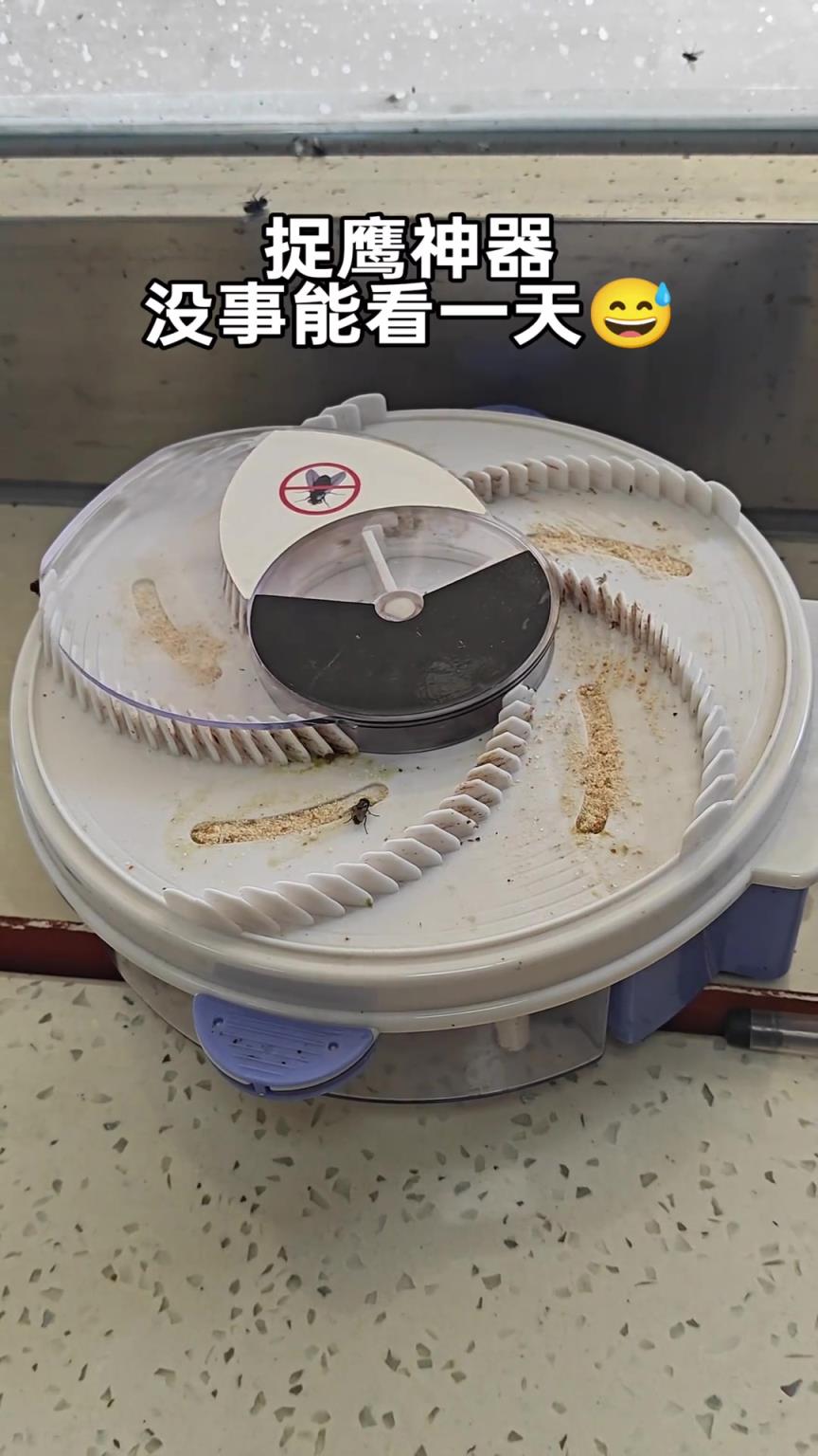 這捕蠅器太好用了！