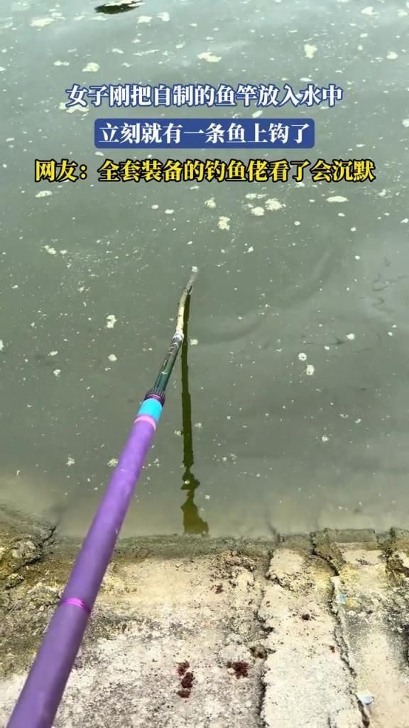 女子刚把自制的鱼竿放入水中 立刻就有一条鱼上钩了