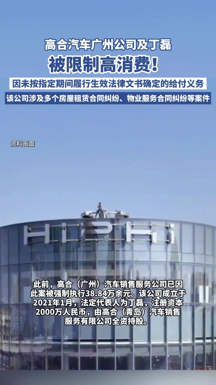 高合汽車廣州公司及丁磊被限消