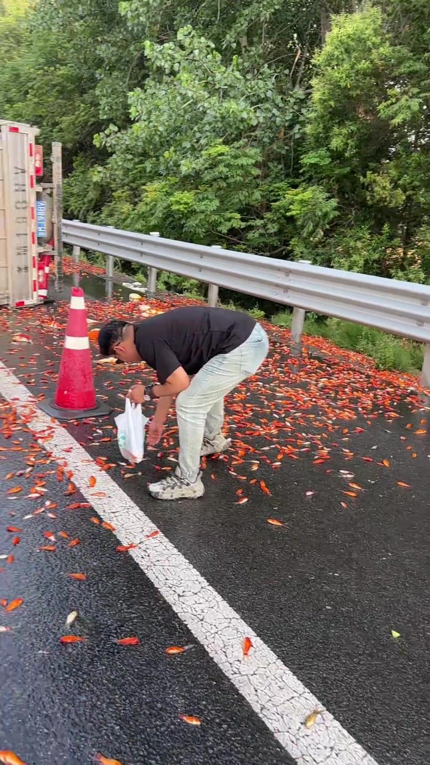 這路過的小貓看見，回去得寫一篇，桃花源記??！