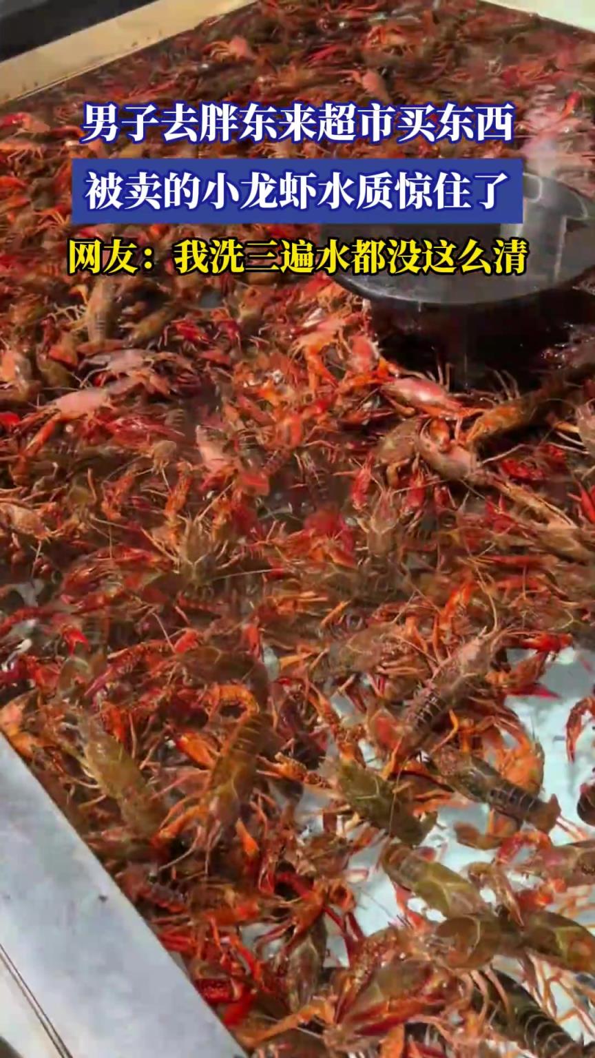 男子去胖東來超市買東西，被賣的小龍蝦水質(zhì)驚住了