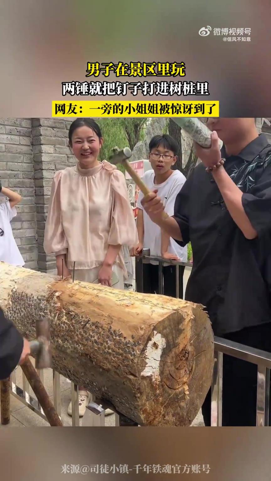 男子景区内两锤将钉子打入树桩