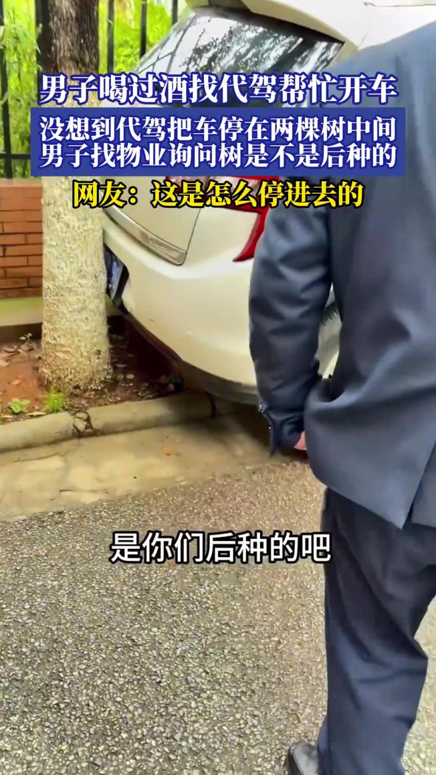 男子喝過酒找代駕幫忙開車，第二天發現車居然在兩棵樹中間？