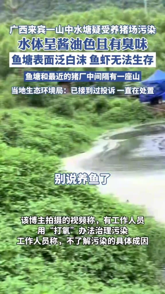 山中水塘呈酱油色有臭味？生态环境局回应