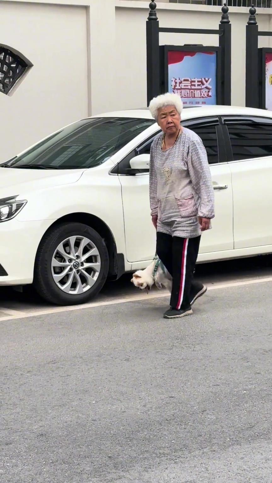 狗子：奶奶你放我下来吧，我会走路！