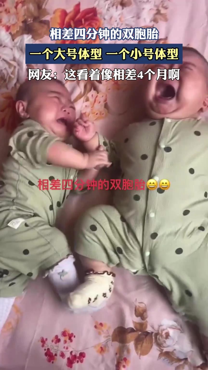 相差四分钟的双胞胎，一个大号体型，一个小号体型
