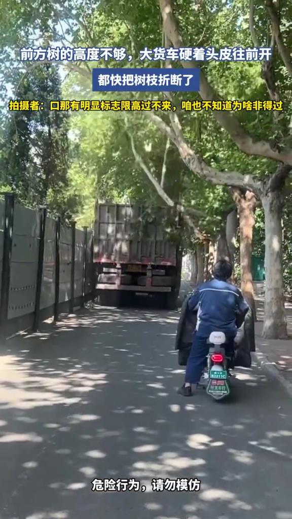 前方樹的高度不夠，大貨車硬著頭皮往前開