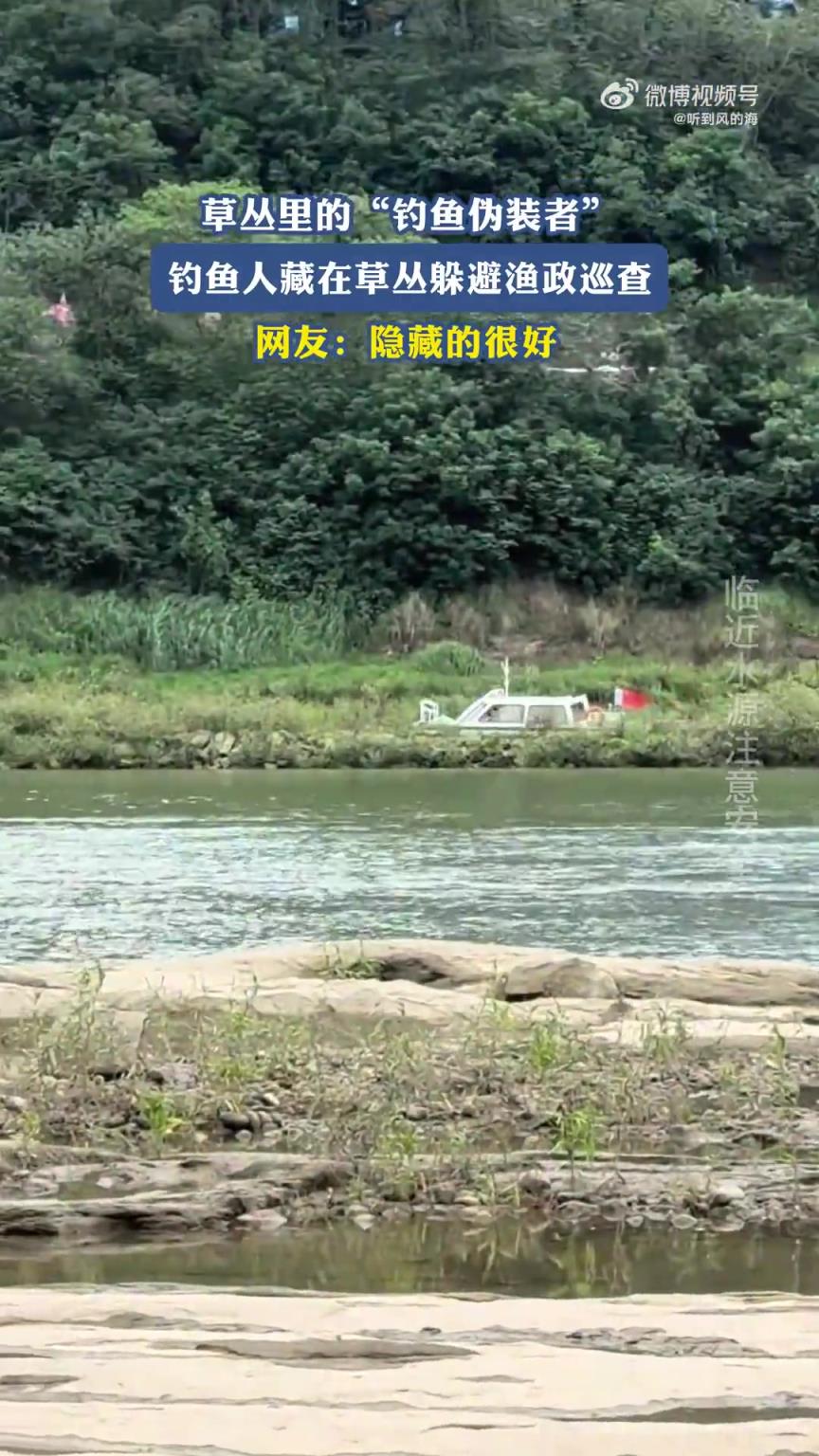 草丛里的“钓鱼伪装者”，藏在草丛躲避渔政巡查，网友：隐藏很好