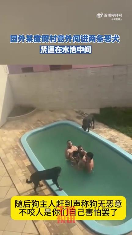 度假村內(nèi)闖入兩條惡犬