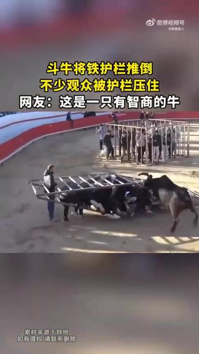 斗牛将铁护栏推倒，不少观众被护栏压住