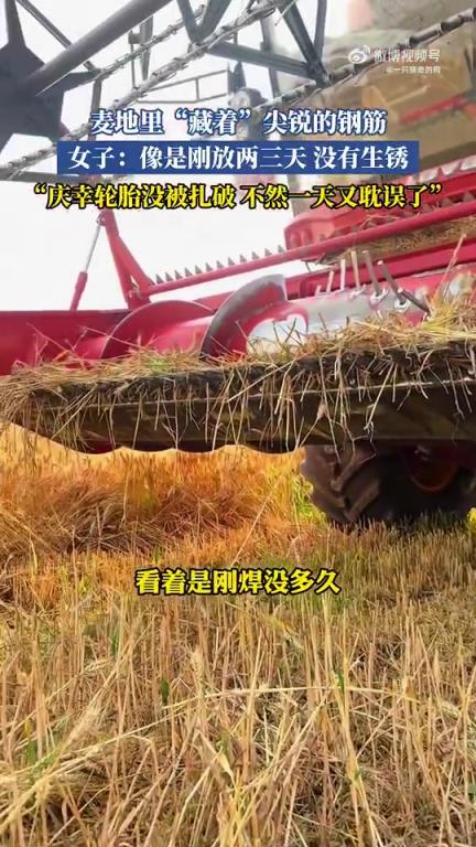 女子发现麦地里藏尖锐钢筋，庆幸轮胎未被扎破
