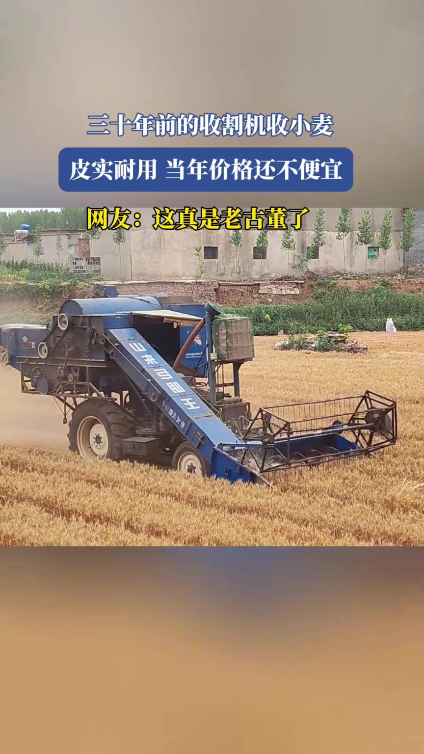 三十年前的收割机收小麦，真皮实耐用啊！