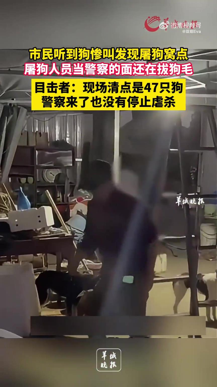市民聞狗慘叫發(fā)現(xiàn)屠狗點(diǎn)，屠狗者當(dāng)警察面仍拔毛