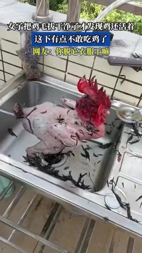 女子把鸡毛拔干净了才发现鸡还活着，这下有点不敢吃鸡了