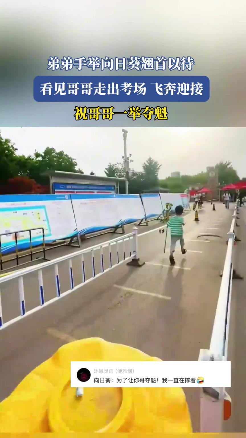 弟弟手举向日葵翘首以待，看见哥哥走出考场飞奔迎接