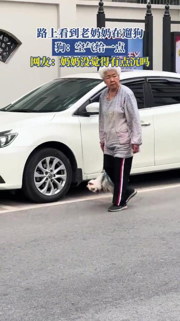路上看到老奶奶在遛狗