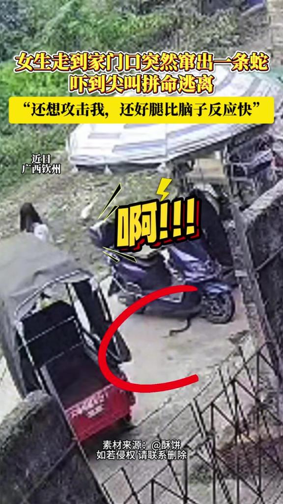 女生走到家门口突然窜出一条蛇,吓到尖叫拼命逃离!