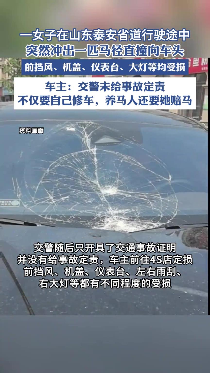 山東一省道上突然沖出一匹馬，女子開車與其相撞，車輛多處受損