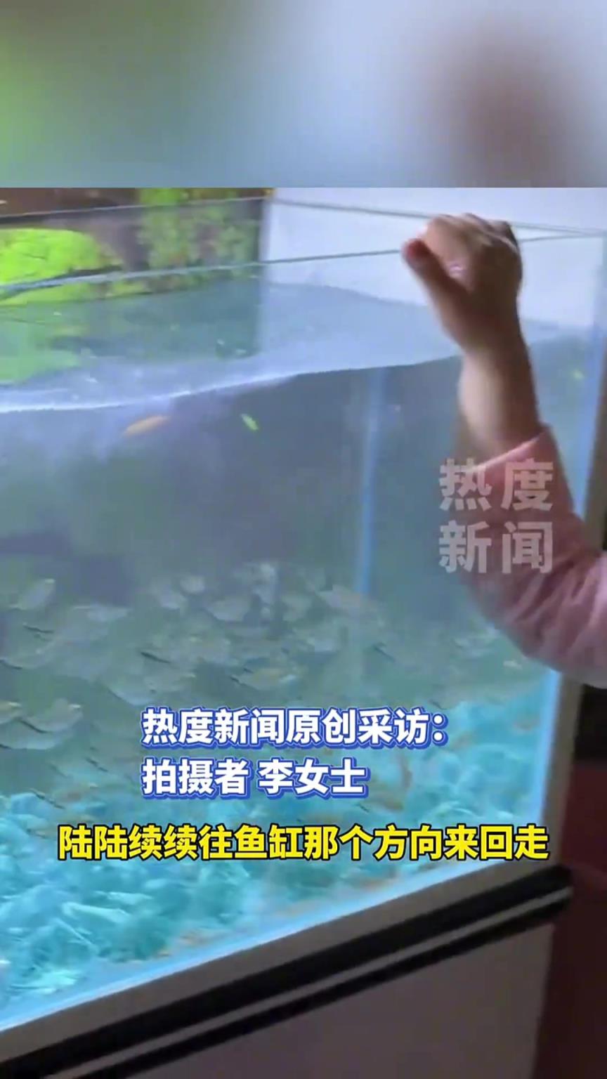 3岁萌娃用橡皮泥祸害了一缸鱼，爸爸守着鱼缸到凌晨一点