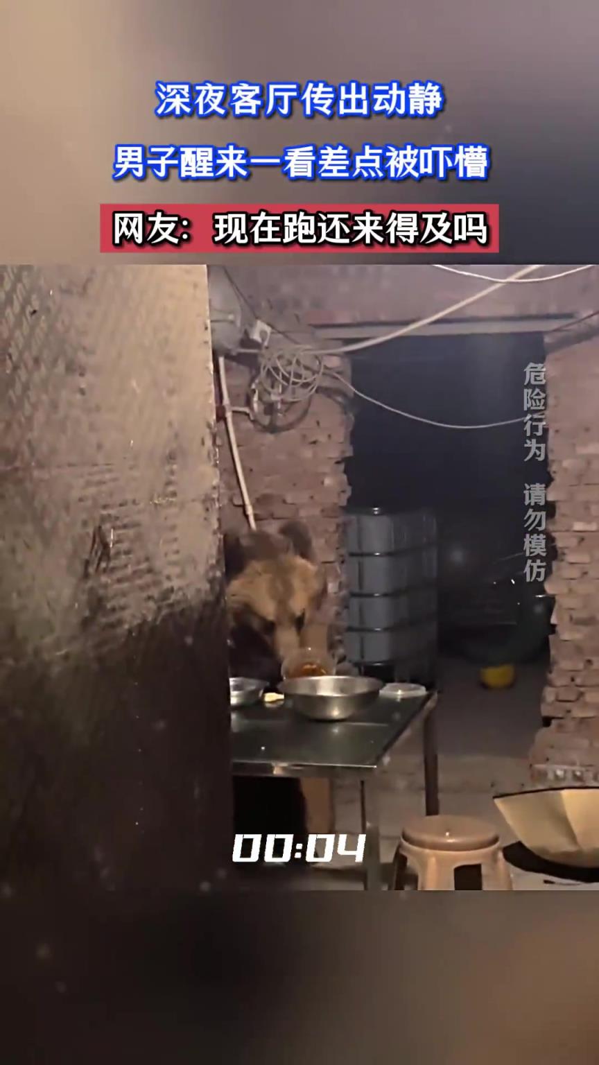 深夜客廳傳出動靜，男子醒來一看差點被嚇懵
