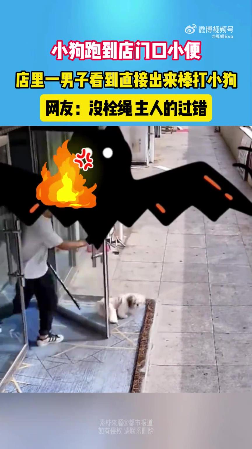 小狗店门口小便，店内男子棒打驱逐