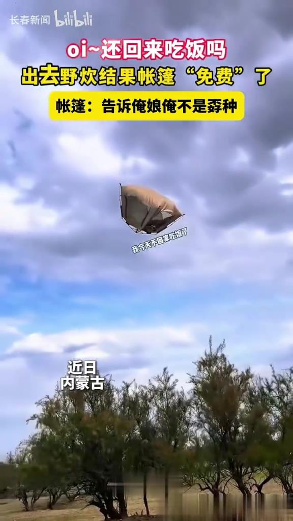 oi~还回来吃饭吗，出去野炊结果帐篷“免费”了