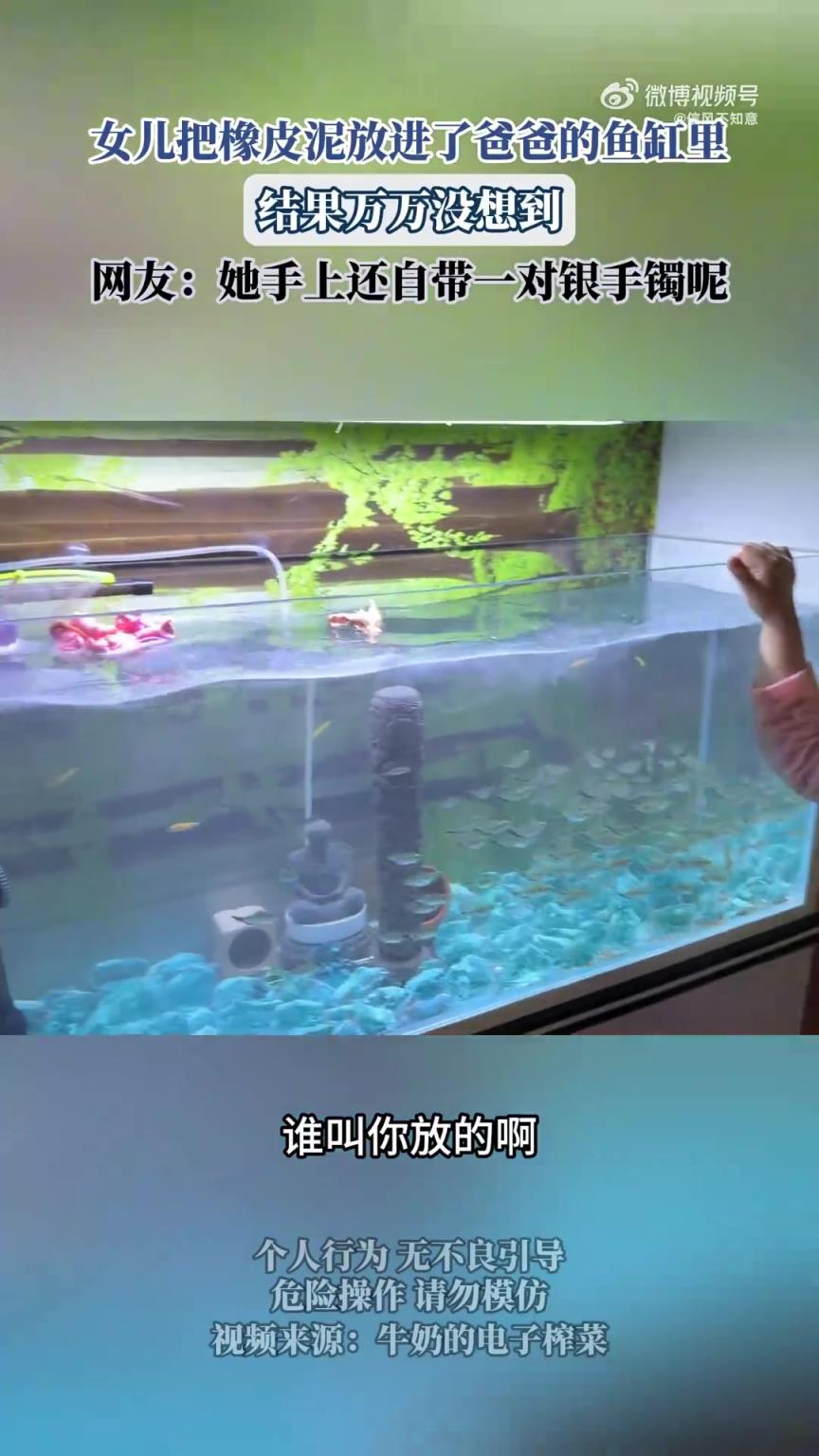 女兒將橡皮泥放入爸爸魚缸，后續(xù)發(fā)展出人意料