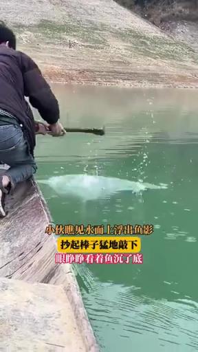 小伙瞧見水面上浮出魚影，抄起棒子猛地敲下，眼睜睜看著魚沉了底