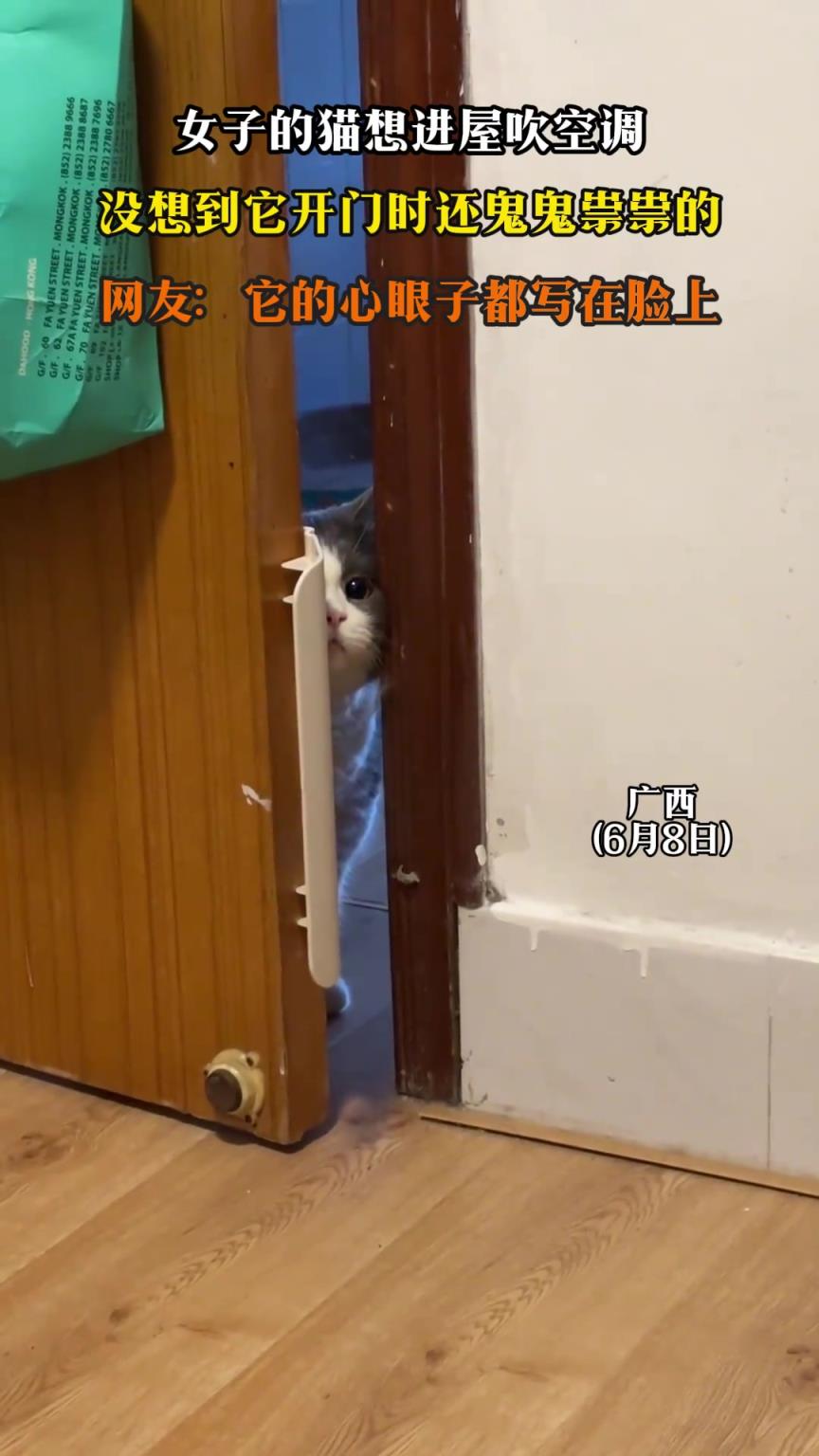 女子的猫想进屋吹空调，没想到它开门时还鬼鬼祟祟的