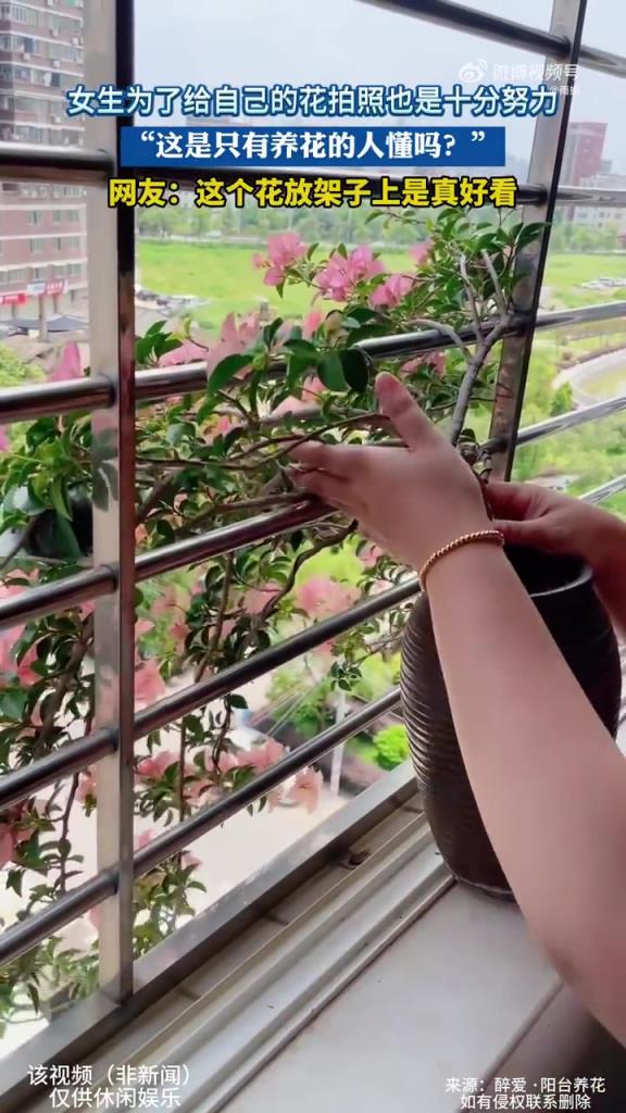 女生為了給自己的花拍照也是十分努力，是只有養(yǎng)花的人懂嗎？