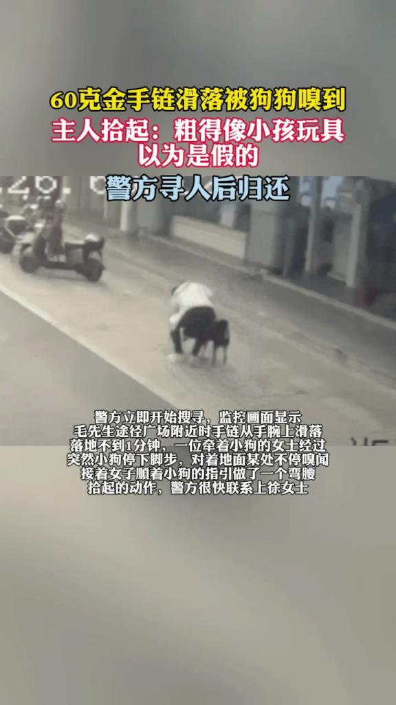 60克金手链滑落被狗狗嗅到主人拾起