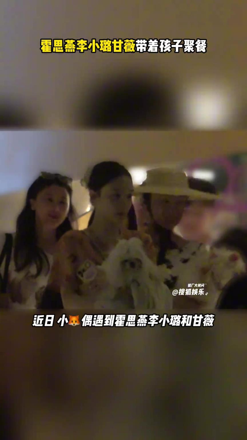 霍思燕李小璐甘薇带着孩子聚餐 泰迪姐妹团的关系还是一如既往好