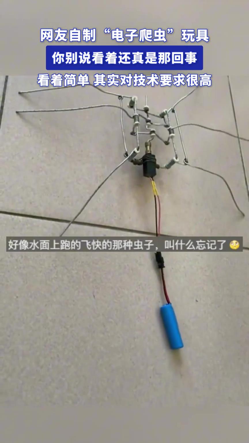 網(wǎng)友自制電子爬蟲(chóng)玩具，你別說(shuō)看著還真是那回事