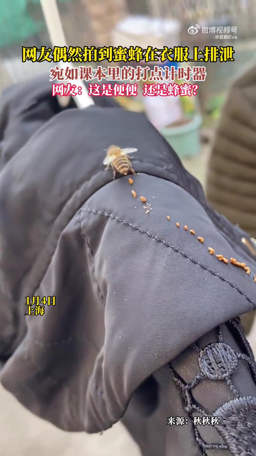 有人能解答下这到底是便便还是蜂蜜吗？