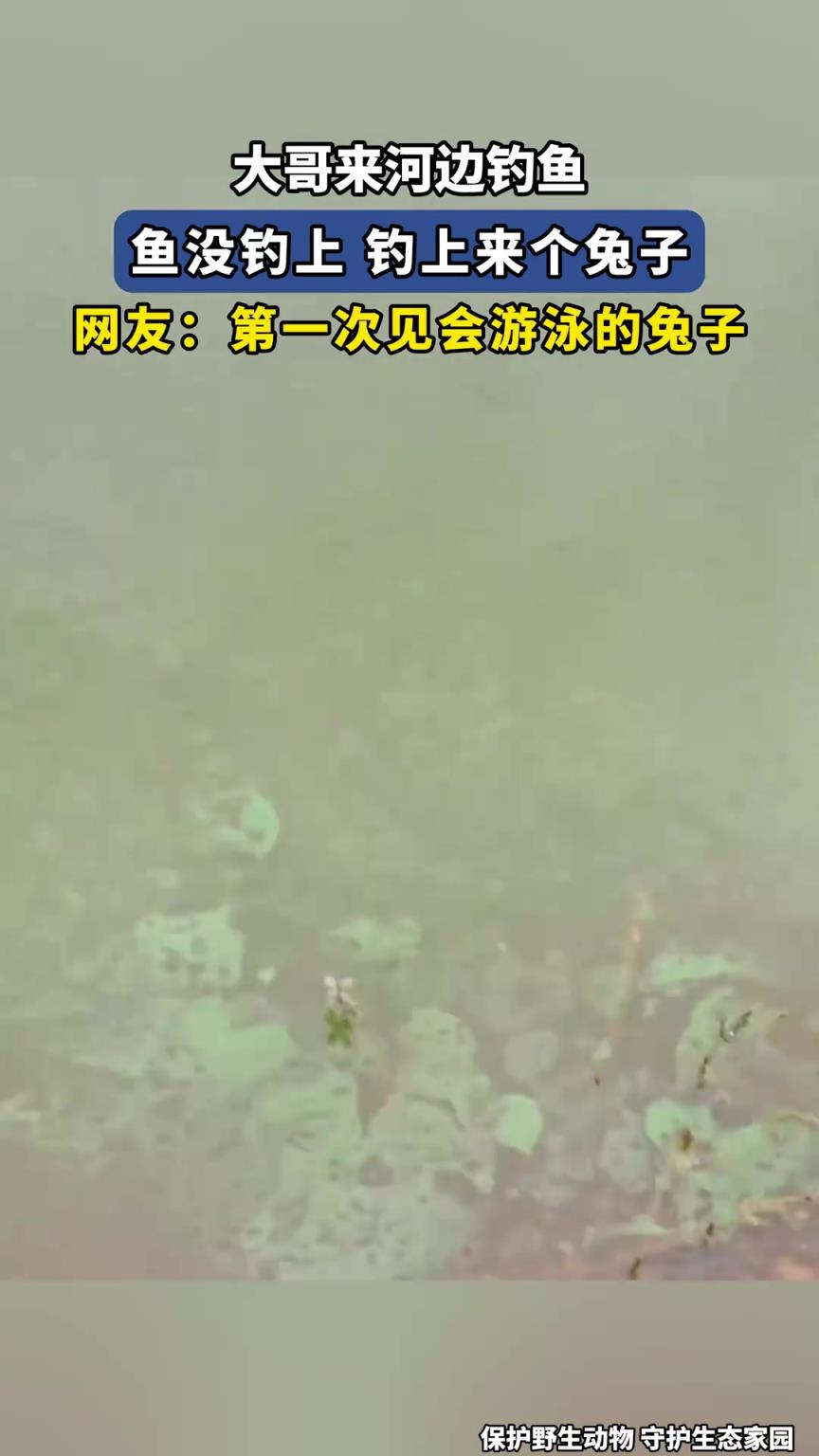 大哥来河边钓鱼，鱼没钓上 钓上来个兔子