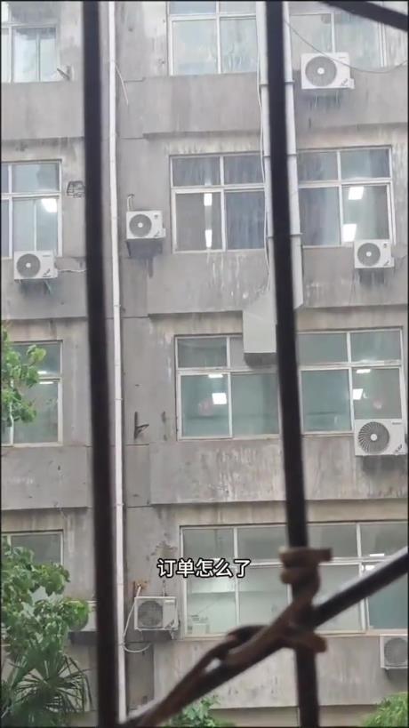 这猫眼神好清澈