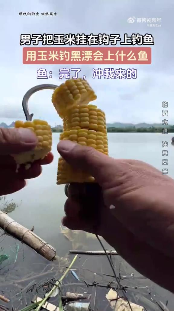 男子把玉米掛在鉤子上釣魚