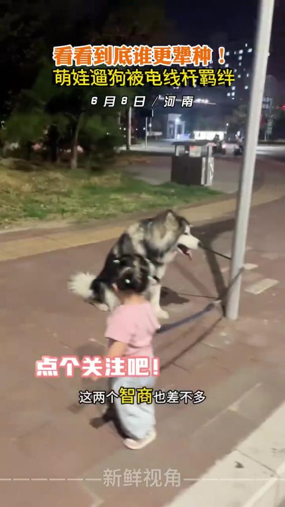 看看到底谁更犟种！