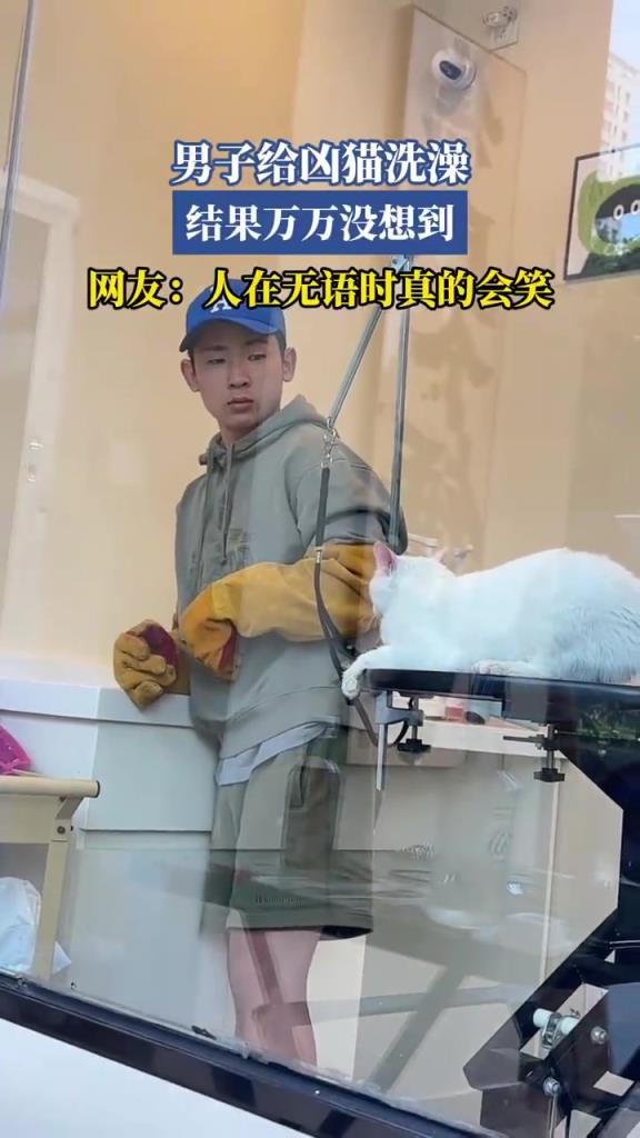 男子给凶猫洗澡遇反转，网友：人在无语会发笑