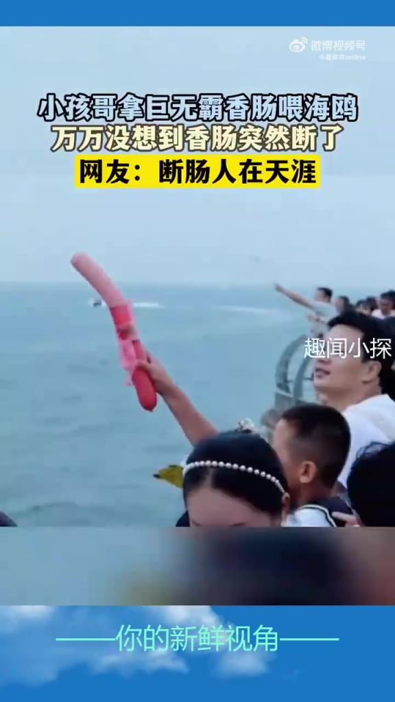 小孩哥拿巨无霸香肠喂海鸥，万万没想到香肠突然断了