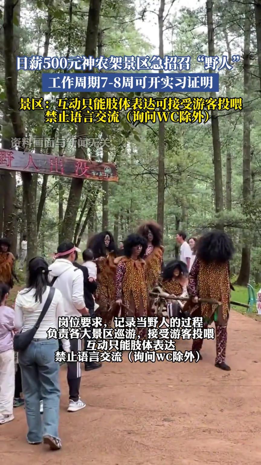 日薪500元神农架景区急招召“野人”