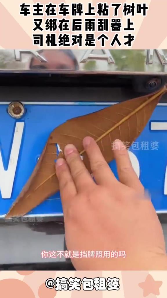 车主用树叶遮车牌，后雨刮器 “神操作” 引吐槽