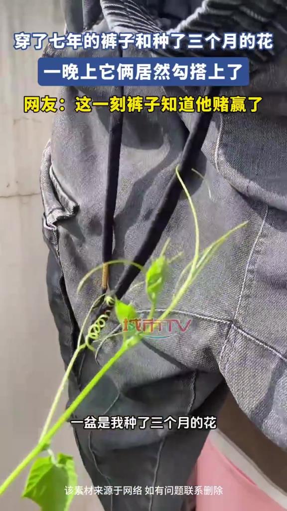 穿了七年的裤子和种了三个月的花，一晚上它俩居然勾搭上了！