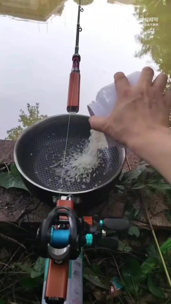 钓鱼佬神器：有鱼钓鱼无鱼干饭，两不误