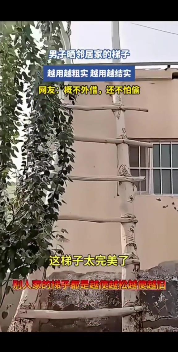 男子曬鄰居家的梯子,越用越粗,越用越結實!!