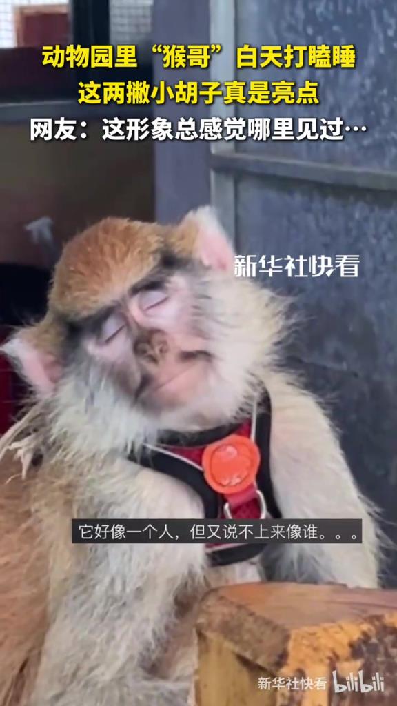 網(wǎng)友：這形象總感覺哪里見過…
