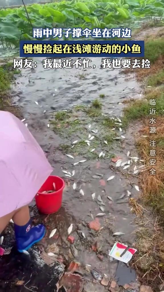 雨中男子撐傘坐在河邊,慢慢撿起在淺灘游動的小魚!!!