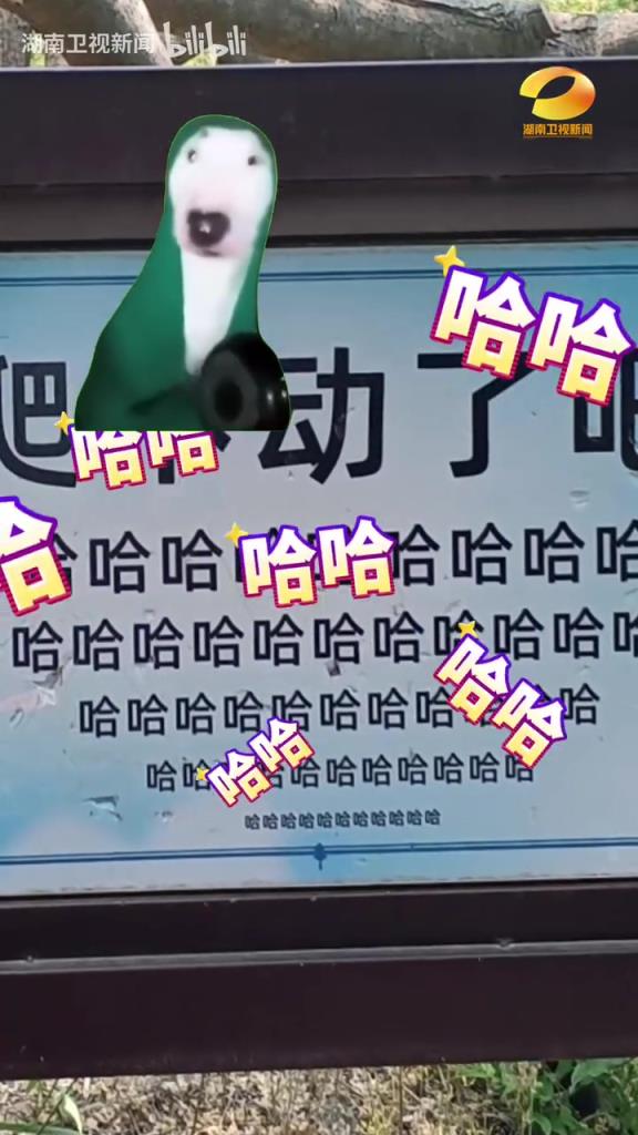 琅琊台风景区指示牌“嘲讽感”拉满 保持微笑 你可是花了钱的！