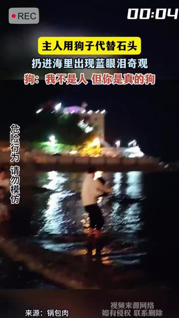 主人用狗子代替石頭 扔進(jìn)海里出現(xiàn)藍(lán)眼淚奇觀